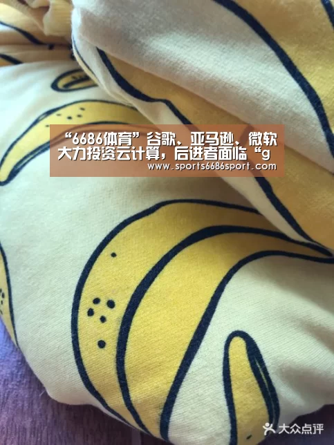 “6686体育”谷歌、亚马逊、微软大力投资云计算,后进者面临“gameover”?(图4) 6686体育app