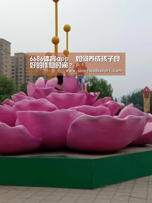 6686体育