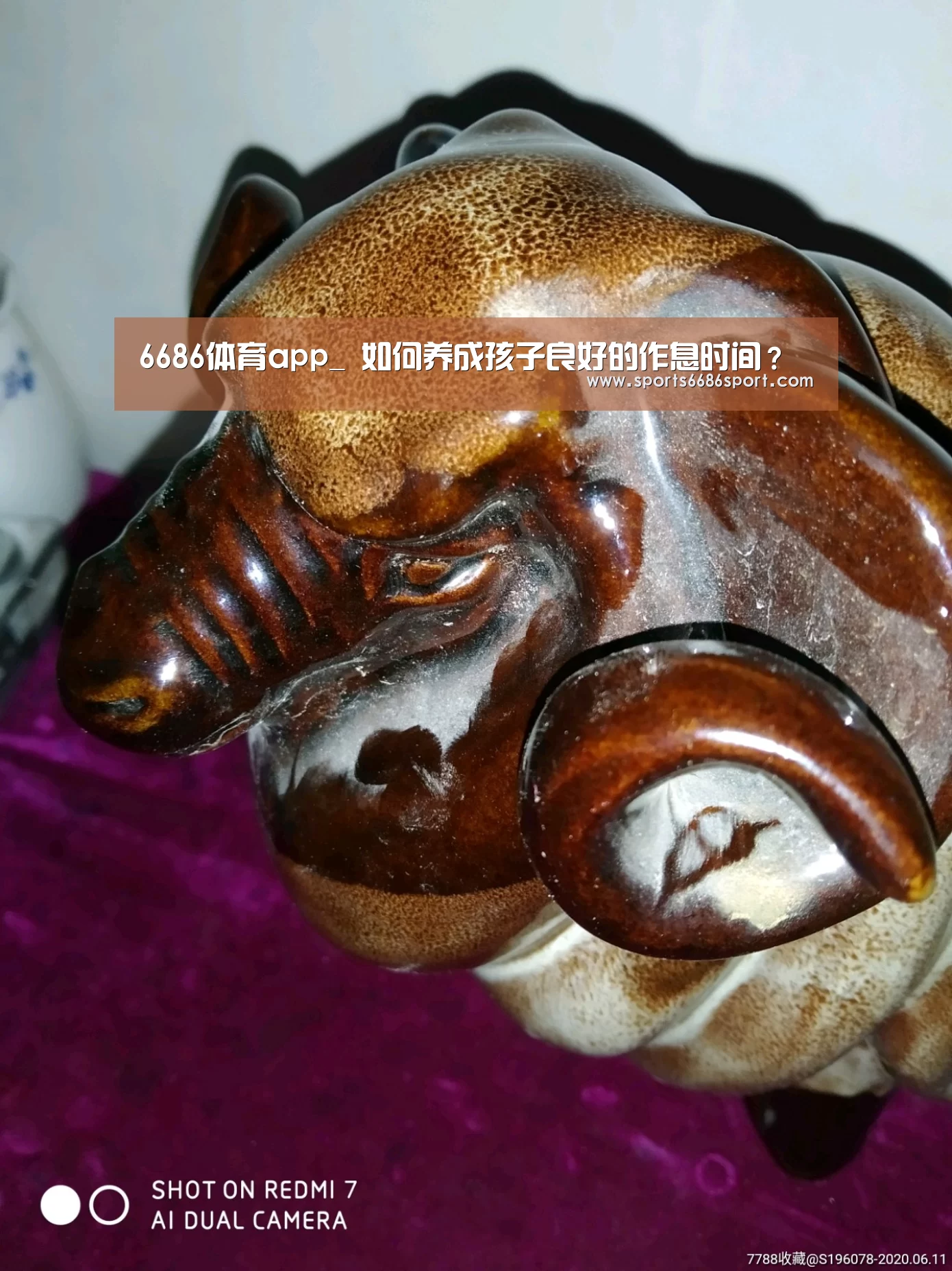 6686体育下载