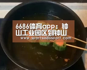 6686体育app:钟山工业园区到钟山镇龙井村开展环境卫生整治活动(图1) 6686体育下载