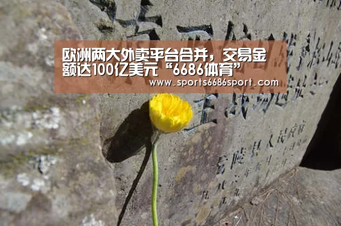欧洲两大外卖平台合并,交易金额达100亿美元“6686体育”(图2) 6686体育下载