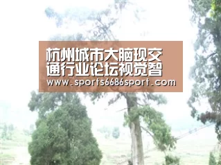 杭州城市大脑现交通行业论坛视觉智能负责人华先胜分享大规模视频智能分析经验“6686体育”(图2) 6686体育官网