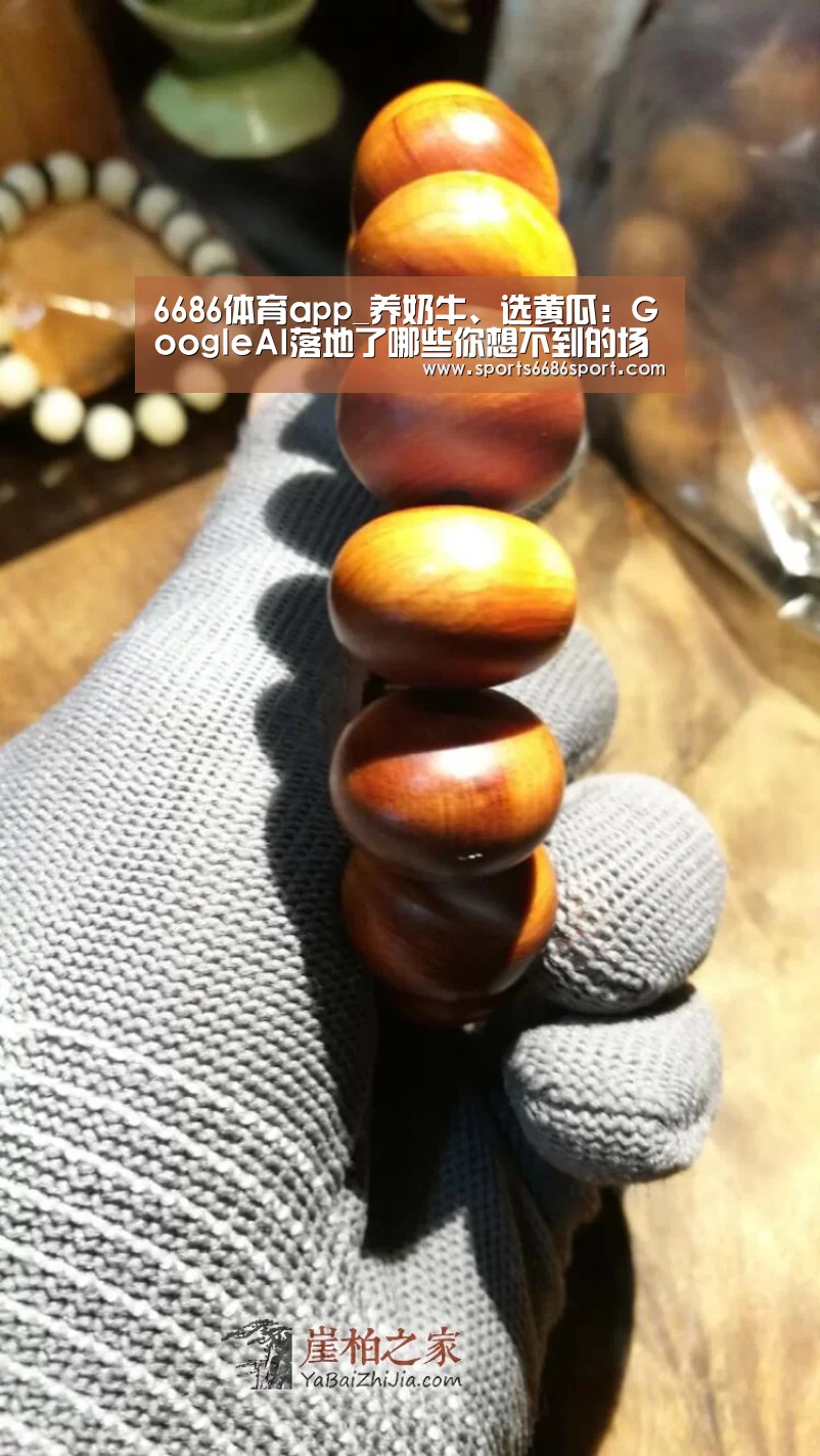 6686体育app_养奶牛、选黄瓜:GoogleAI落地了哪些你想不到的场景?(图1) 6686体育官网