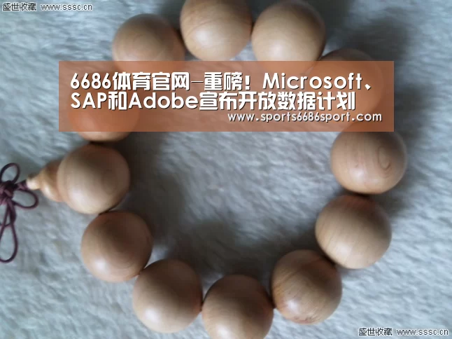 6686体育官网-重磅!Microsoft、SAP和Adobe宣布开放数据计划(图1) 6686体育官网
