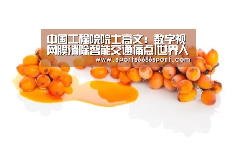 6686体育官网