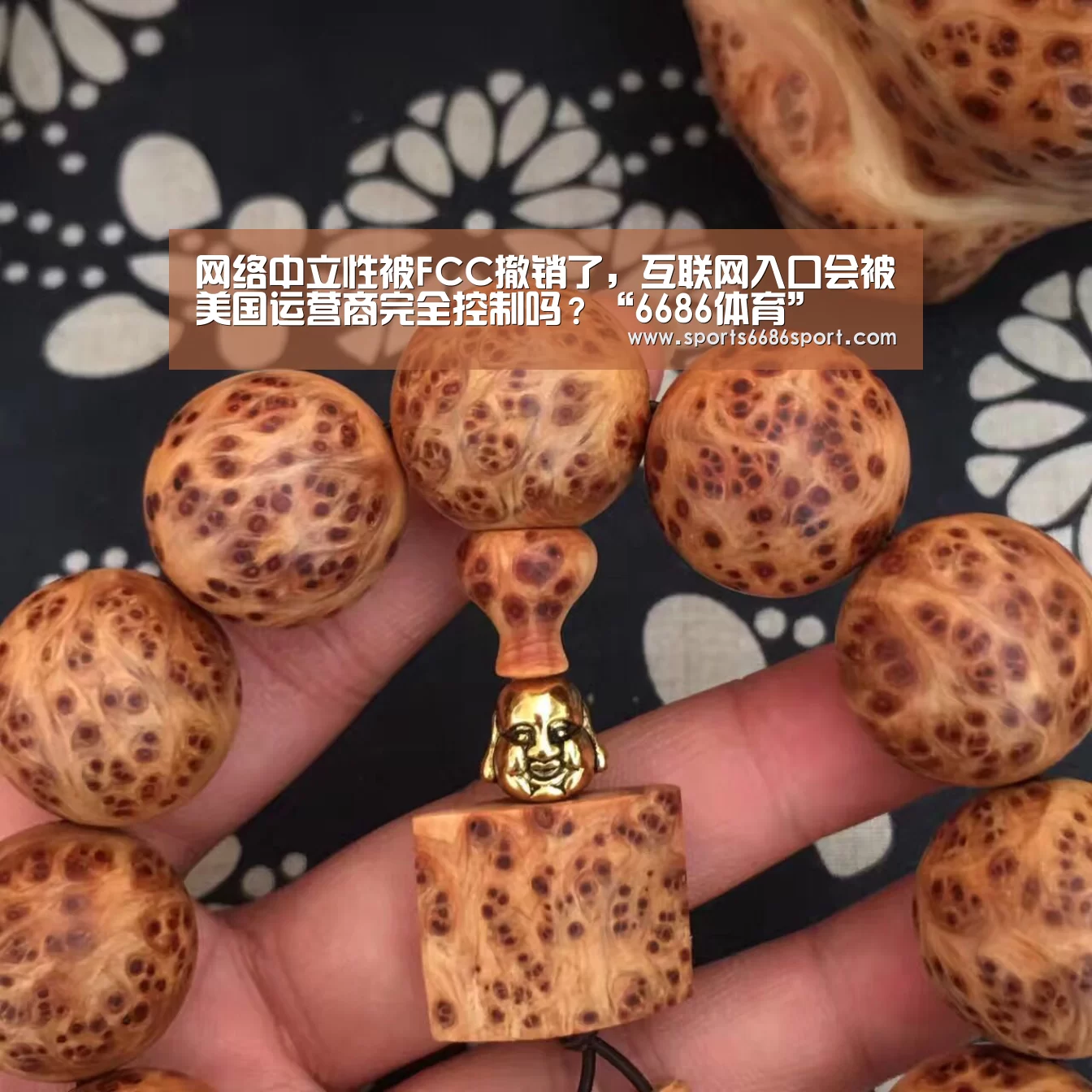 网络中立性被FCC撤销了,互联网入口会被美国运营商完全控制吗?“6686体育”(图1) 6686体育下载