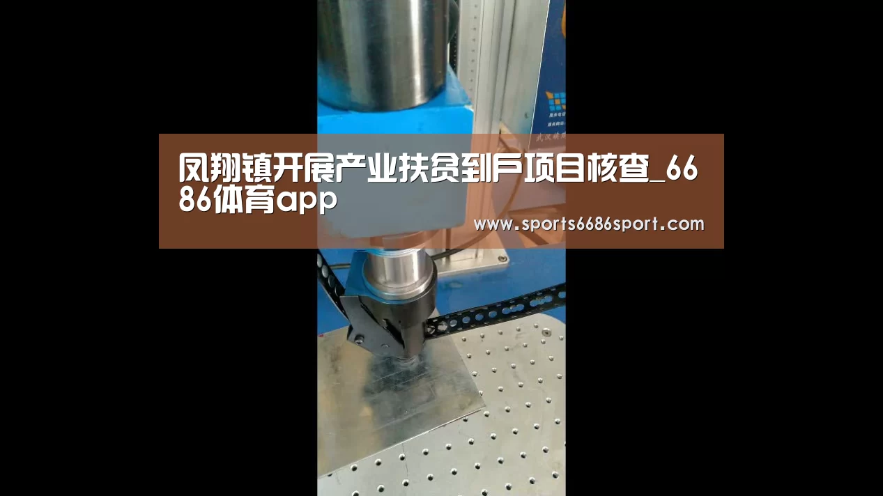 凤翔镇开展产业扶贫到户项目核查_6686体育app(图4) 6686体育app