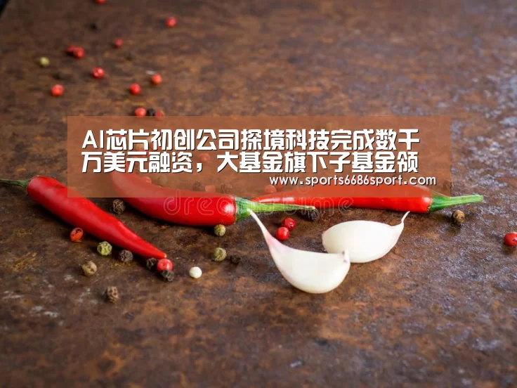 AI芯片初创公司探境科技完成数千万美元融资,大基金旗下子基金领投|6686体育官网(图2) 6686体育app
