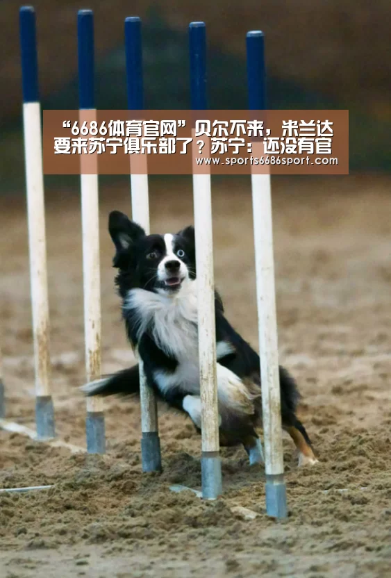 “6686体育官网”贝尔不来,米兰达要来苏宁俱乐部了?苏宁:还没有官方消息(图1) 6686体育app