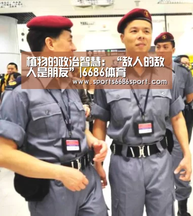 植物的政治智慧:“敌人的敌人是朋友”|6686体育(图2) 6686体育下载