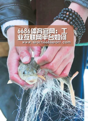 6686体育官网:工业互联网平台如何赋能多个行业?(图1) 6686体育