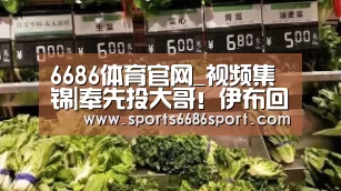 6686体育