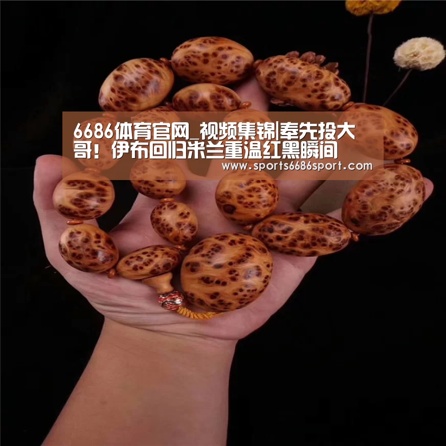 6686体育下载